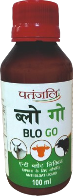 पंतजलि ब्लो गो