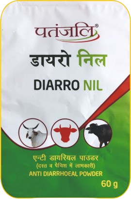पंतजलि डायरो निल