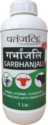 Garbhanjali