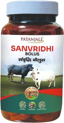 पंतजलि संवृद्धि बोलस