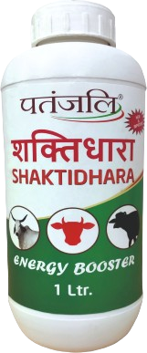 पंतजलि शक्तिधारा