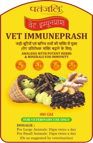 पंतजलि वेट इम्यूनप्राश