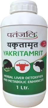 पंतजलि यकृतामृत